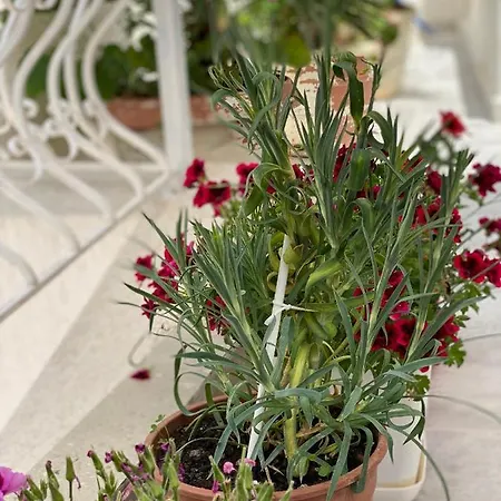 Violet's Boutique Apartamento Sarandë